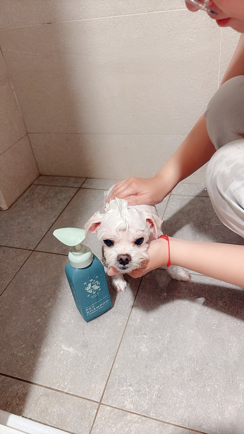 女人知己試用大隊,口碑行銷,部落客行銷,Goodmofamily歸毛家族 寵物肌膚救星組,歸毛家族 寵物肌膚救星,舒敏保濕洗毛乳,護膚噴液,精萃營養霜,博士30年生技專業,給足皮膚營養保護力,無抗生素 無類固醇,神經醯胺,19種綜合胺基酸,榮獲SNQ國家認證,上萬毛爸媽見證,3週幫助皮膚健康,NO.1寵物肌膚口碑霸主,寵物第一護膚領導品牌